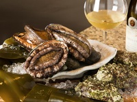 【 Xmas 2025 】  椿 ～ 特選黒毛和牛 × 活 鮑のグリル + 乾杯シャンパン付き