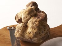 Menu Spécial~white truffle~:Special course meal with "White truffle" from Italy