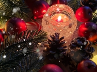 【12/23-25】Buche de Noel 15cm