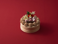 【グランビレッジ会員様】　クリスマスデコレーションチョコレート（5号）　【銀行振込決済用】