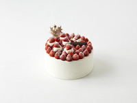 【グランビレッジ会員様】　サパン・ド・ノエル　【カード決済用】