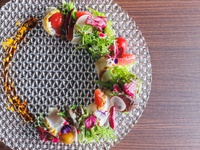 クリスマス特別コース