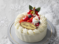 ＜早割＞  ノエル5号