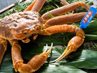 料理長特別懐石＜テーブル席＞