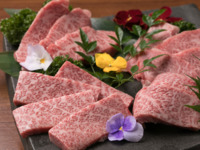 Cow Language Satisfaction Course