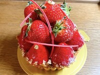 プレミアムタルト-４月-おとめ心のタルト12cm