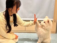 Weekdays: Private plan (50 minutes) ¥25,000