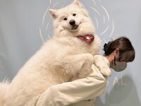 Weekends and Holidays: Private plan (50 minutes) ¥45,000