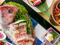 【鉄板焼き】お祝いプラン（ランチ）1dri付
