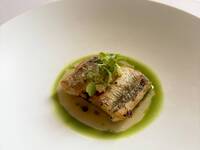 Dinner Menu Cena Speciale