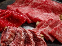 TEN 프리미엄 코스