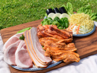A：定番食材コース
