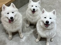 Weekdays: Private plan (50 minutes) ¥25,000