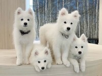 ≪平日≫貸切プラン（50分）¥25,000