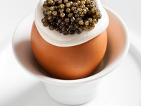 【ランチ/カウンター席】Tasting G 10品　