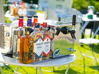 【大人】BBQ食材持ち込み予約（アルコール飲み放題）