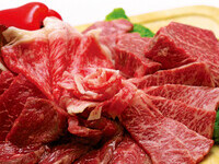 Casual course: Popular with women, well-balanced menu [17 dishes]