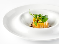 Evoluzione - 進化 - (2025年6月13日まで)