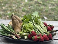  April  Discovery Lunch course