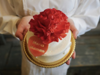 【母の日】カーネーション５号