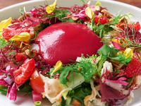 關於「Symphony of Wellness：蔬食晚宴」的說明