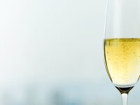 ［シャンパン］ヴーヴ・クリコ ポンサルダン