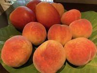 Sweets Course (August)