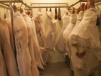 [Lunch/15 items with salad] Aged belly steak