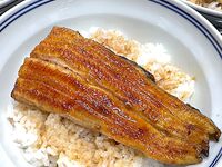 お昼のうなぎこよみ