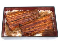 Grilled eel on rice