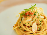 Kid's Christmas Special : 4~12 Years Old