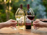 フリードリンク（神戸ワイン付き）90分制