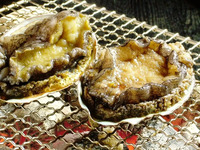せたな(焼き鮑)コース《2名様ご予約の場合》　〈年末年始ご料金〉お一人様65,736円