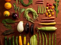 menu froko   ¥7,000(税抜) (金、土、日のみのランチコース）