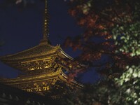 【くろどう】個室 窓際確約+シャンパンハーフボトル+X'masディナー