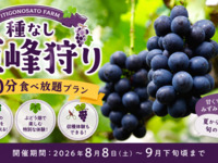 ★種なし巨峰狩り（40分食べ放題プラン）【平日】