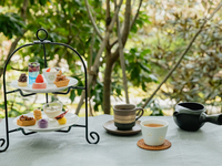 【10/22～11/14限定】紅葉会席12000