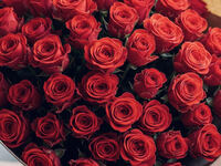 Xmasプレミアムプロポーズ　薔薇108本