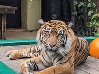 【宮崎市フェニックス自然動物園 ×シーガイア特別連携企画】 地球環境について学ぼう ツアー～動物たちのために、私たちができること～ 