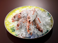 名古屋浅田開業21周年記念会席《ご夕食/個室》