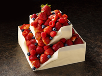 ノエル・フレーズ (20cm&12cm角の2段)