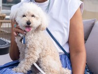 Seat only reservation