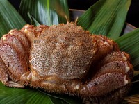 【個室】生うにと特大毛蟹のコース(通年)