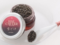 DINNER [CAVIAR SPECIALE COURSE] 8 dishes in total ~ Premium caviar full course ~