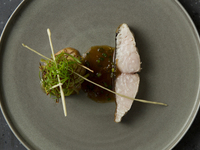 Lunch course with luxury ingredient shark fin