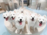 ≪土日祝≫貸切プラン（50分）¥58,000