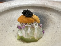 クリスマスコース