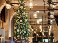 【LUNCH】Christmas Lunch Course with Sparkling Toast [12/20–12/25]