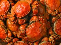 2025クリスマスコース＋シャンパーニュ付