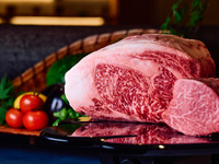 銀座 kappou ukai ”肉匠”グランドコース